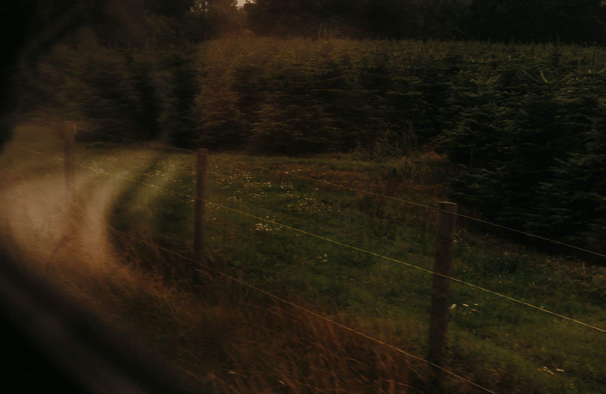 Photographie réelle — Train + plein air